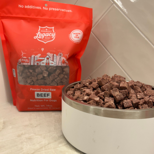 Why Freeze-Dried Dog Food Is a Game-Changer for Busy Pet Parents