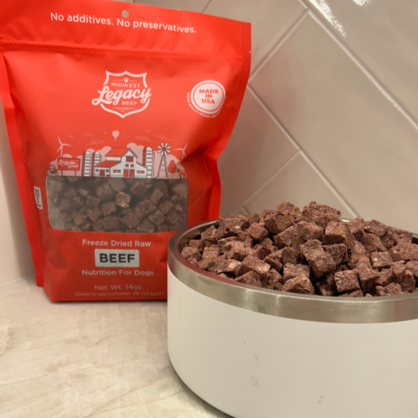 Why Freeze-Dried Dog Food Is a Game-Changer for Busy Pet Parents