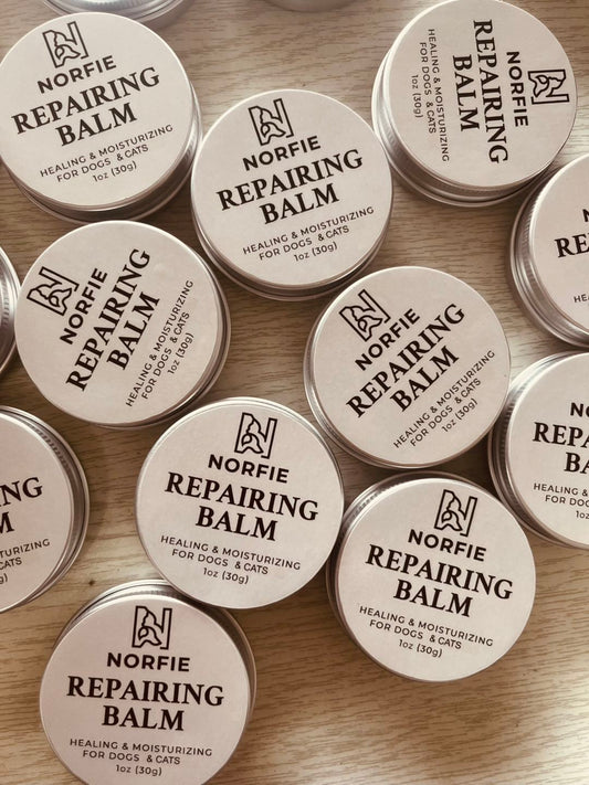 Why I Created the Norfie Repairing Balm: A Natural Solution for Dry Paws, Noses & Elbows