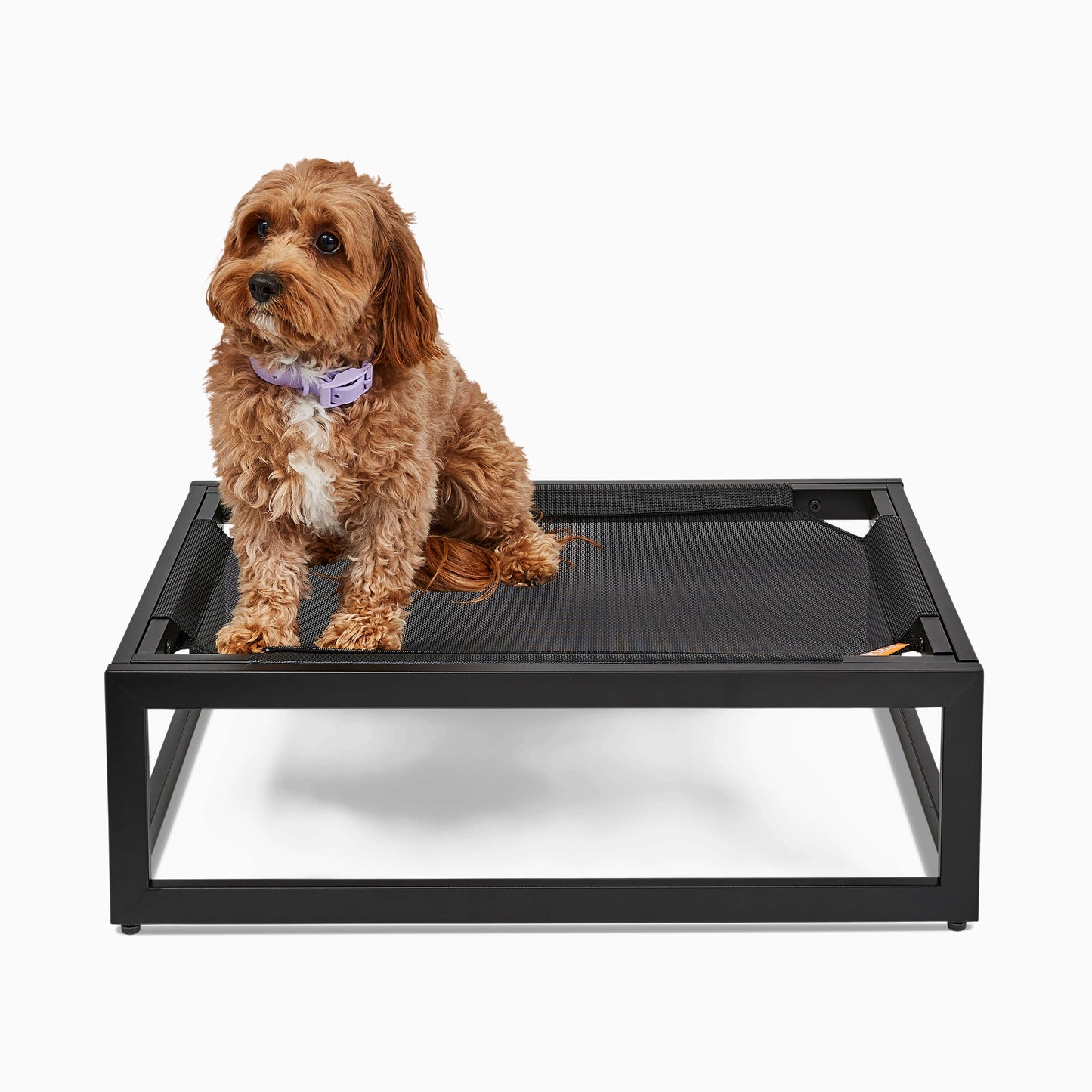 FÜZI - The Up Pup Dog Bed