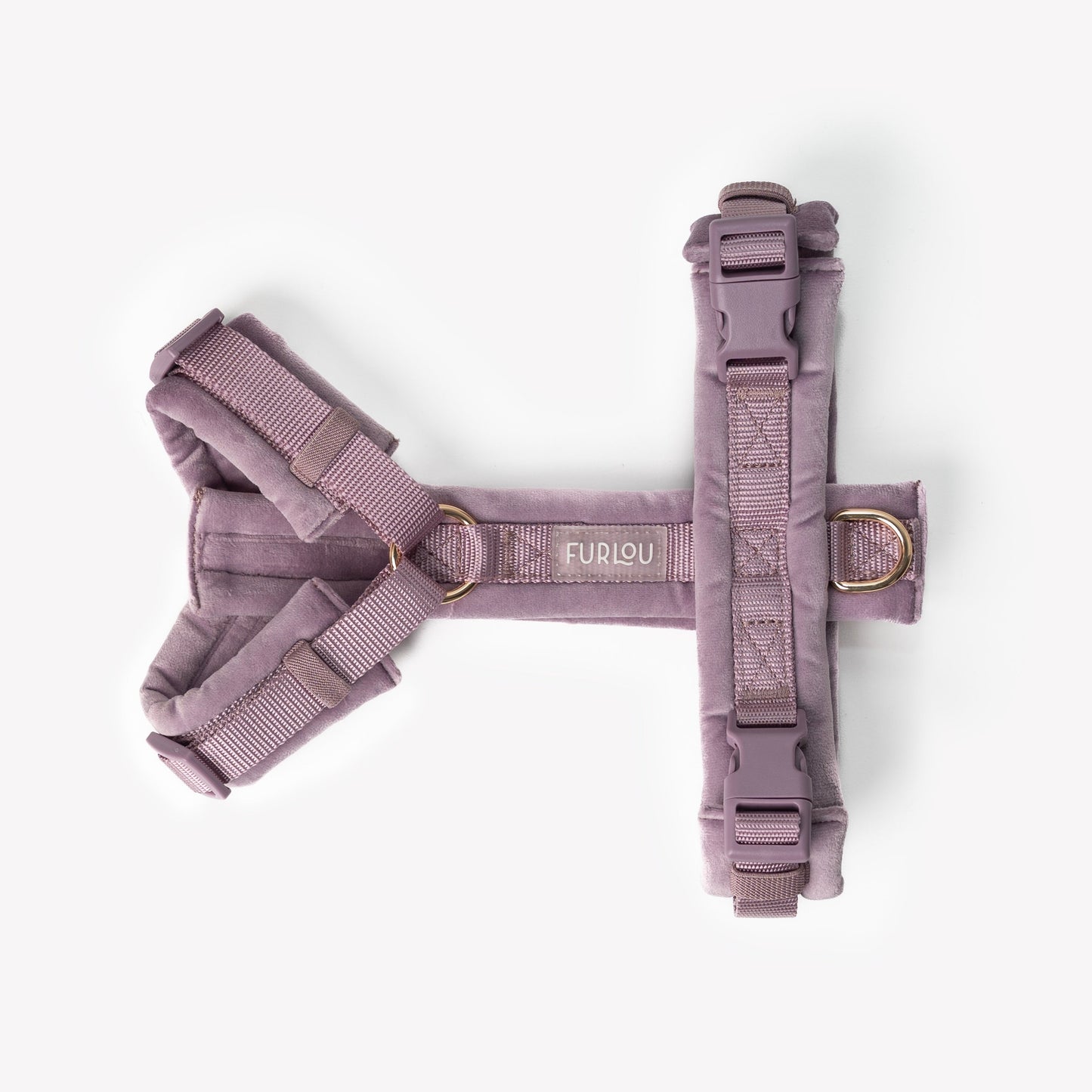 Front view of dog wearing soft velvet harness in lilac
