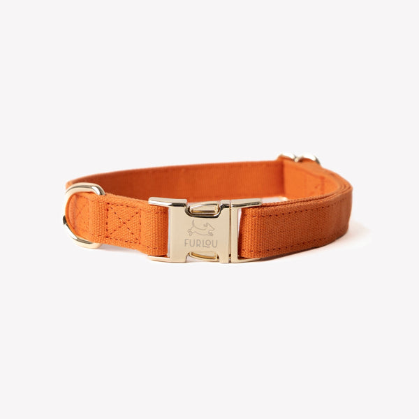 FURLOU terracotta canvas dog collar with gold buckle
