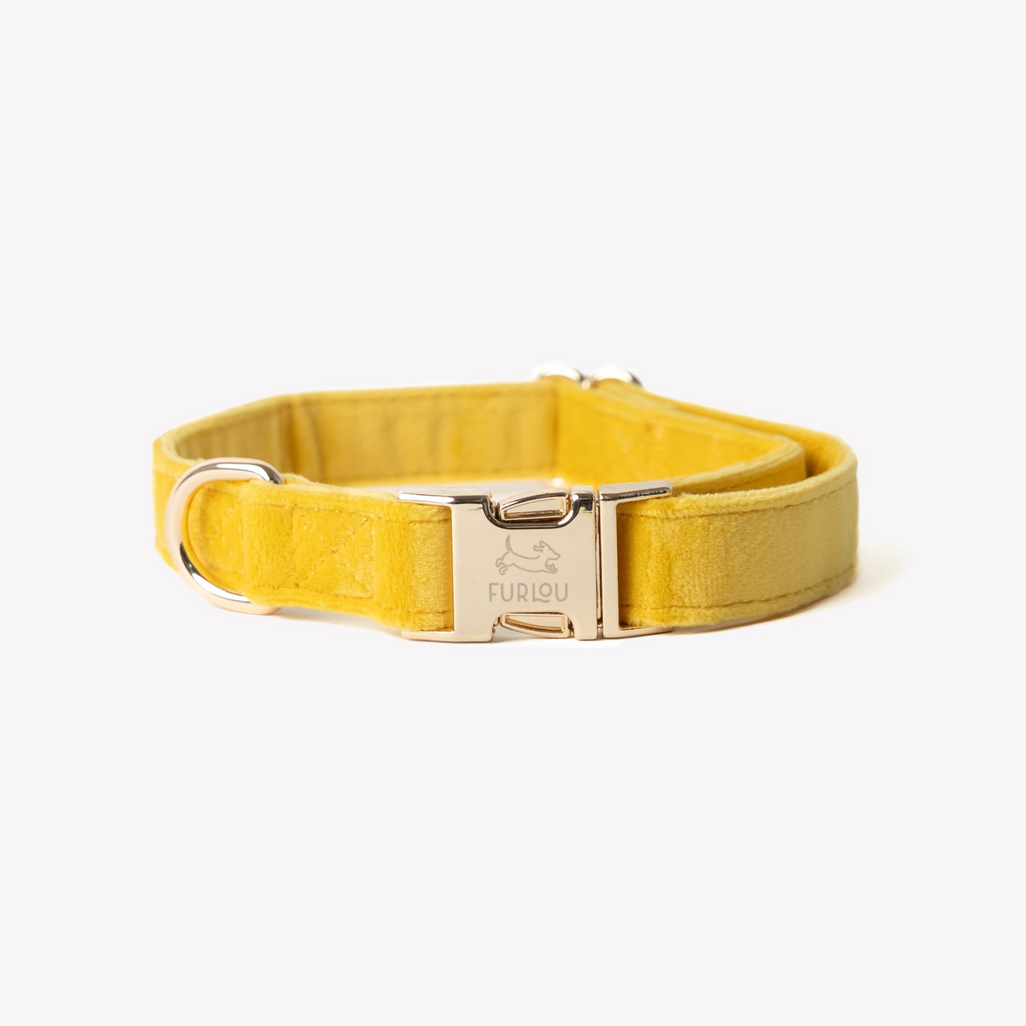 yellow velvet dog collar with gold hardware