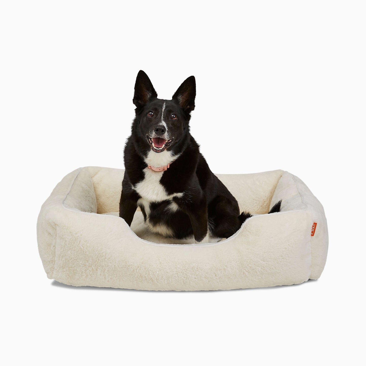 FÜZI - The Sammy Dog Bed
