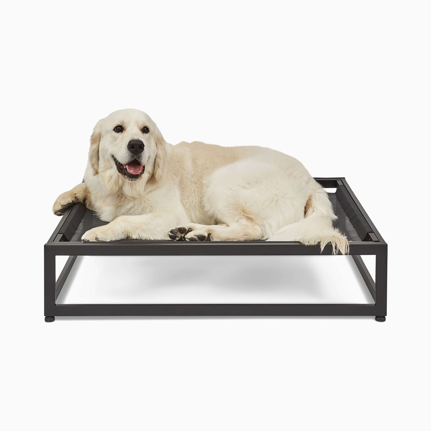 FÜZI - The Up Pup Dog Bed