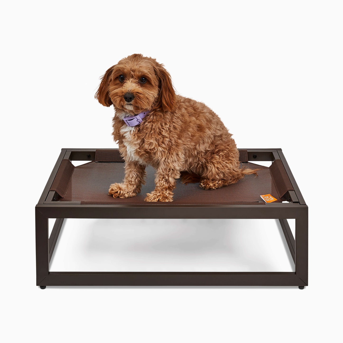 FÜZI - The Up Pup Dog Bed