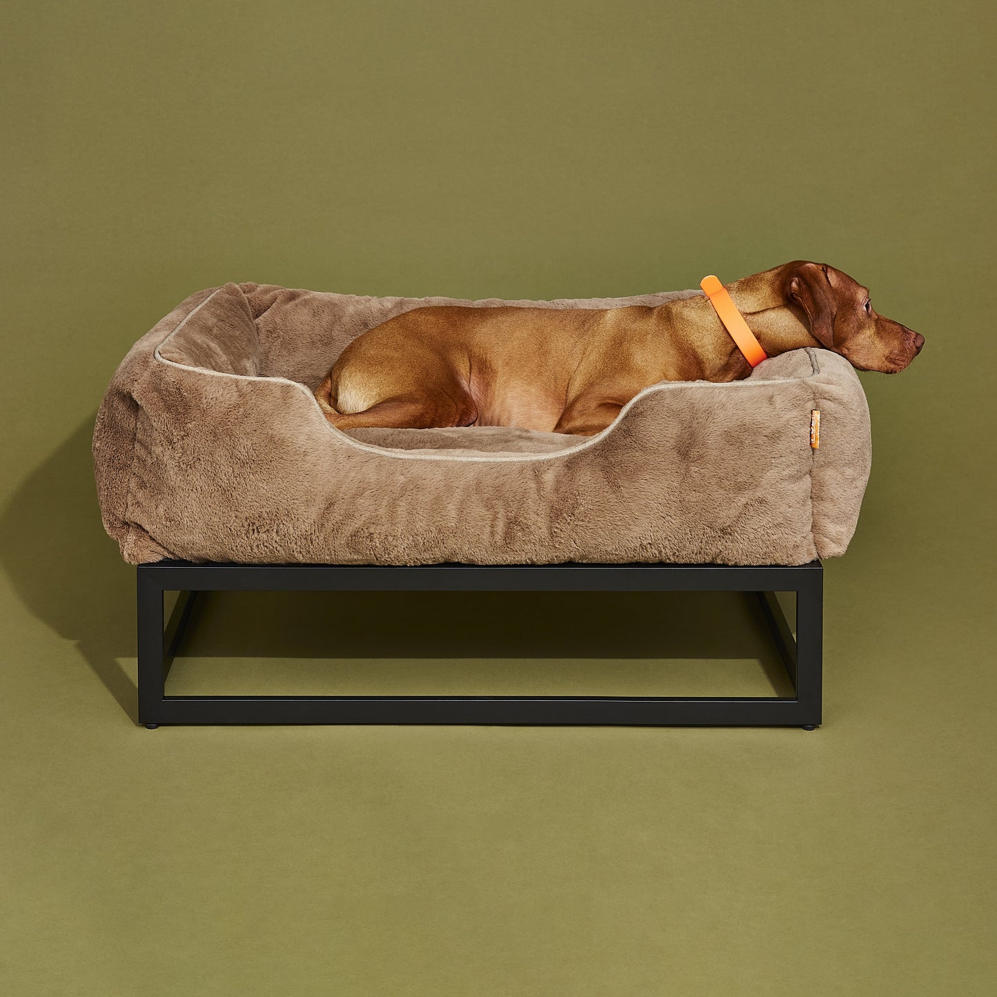 The FÜZI Dog Bed