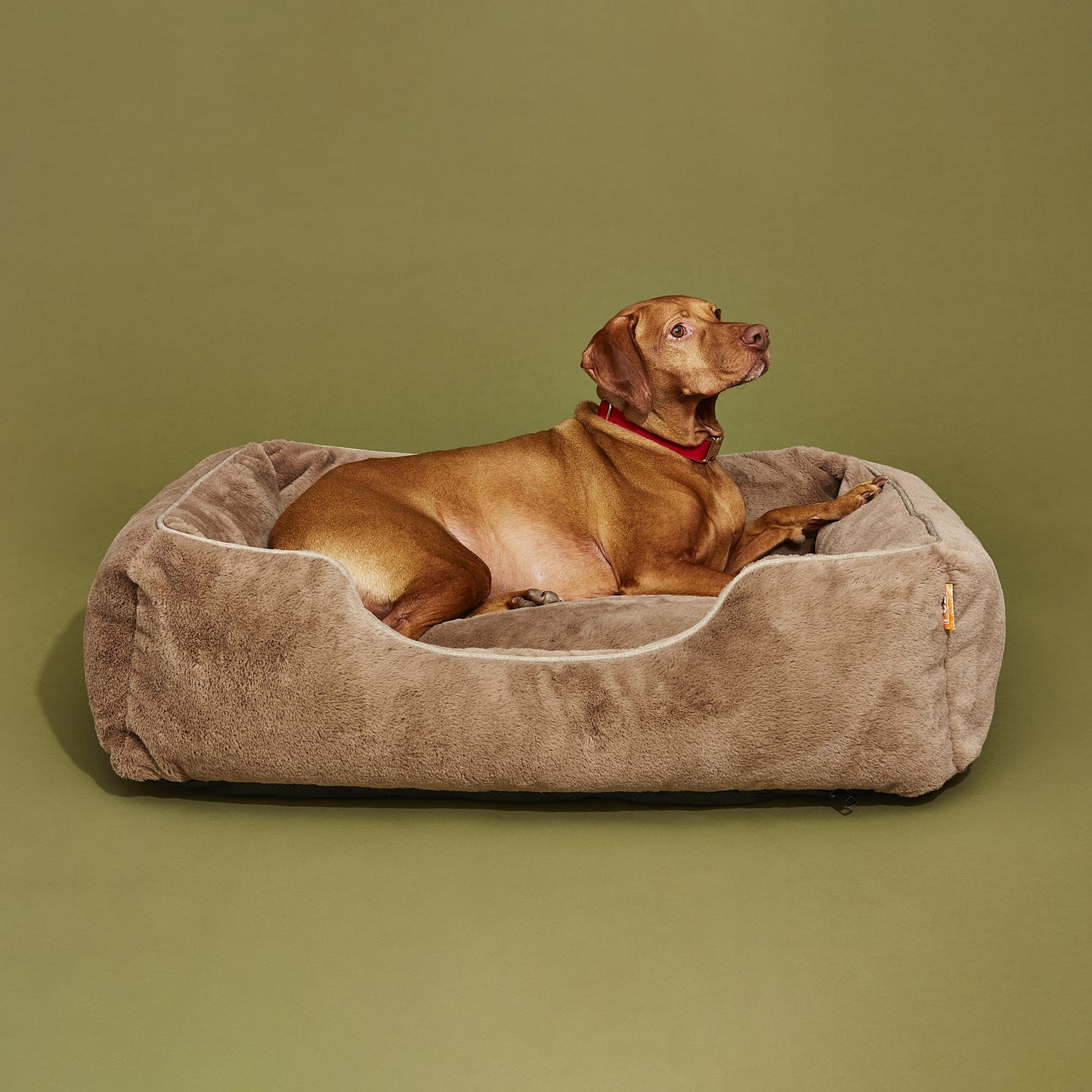 FÜZI - The Sammy Dog Bed