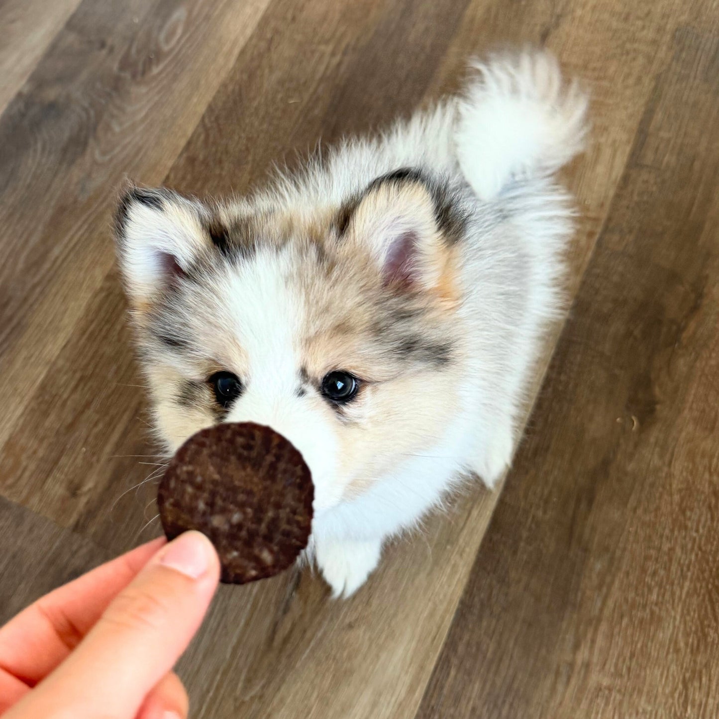 Farm To Pet - Beef Chips Dog Treats | Single-Ingredient Healthy Treats for Dogs
