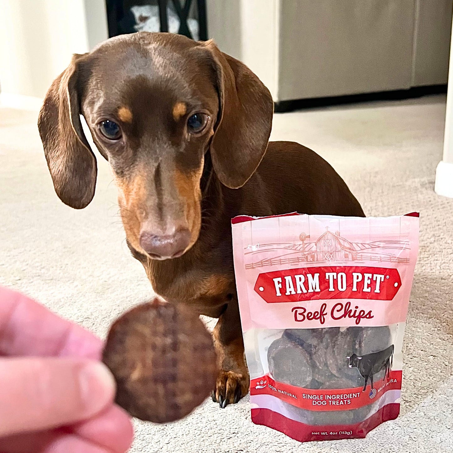 Farm To Pet - Beef Chips Dog Treats | Single-Ingredient Healthy Treats for Dogs