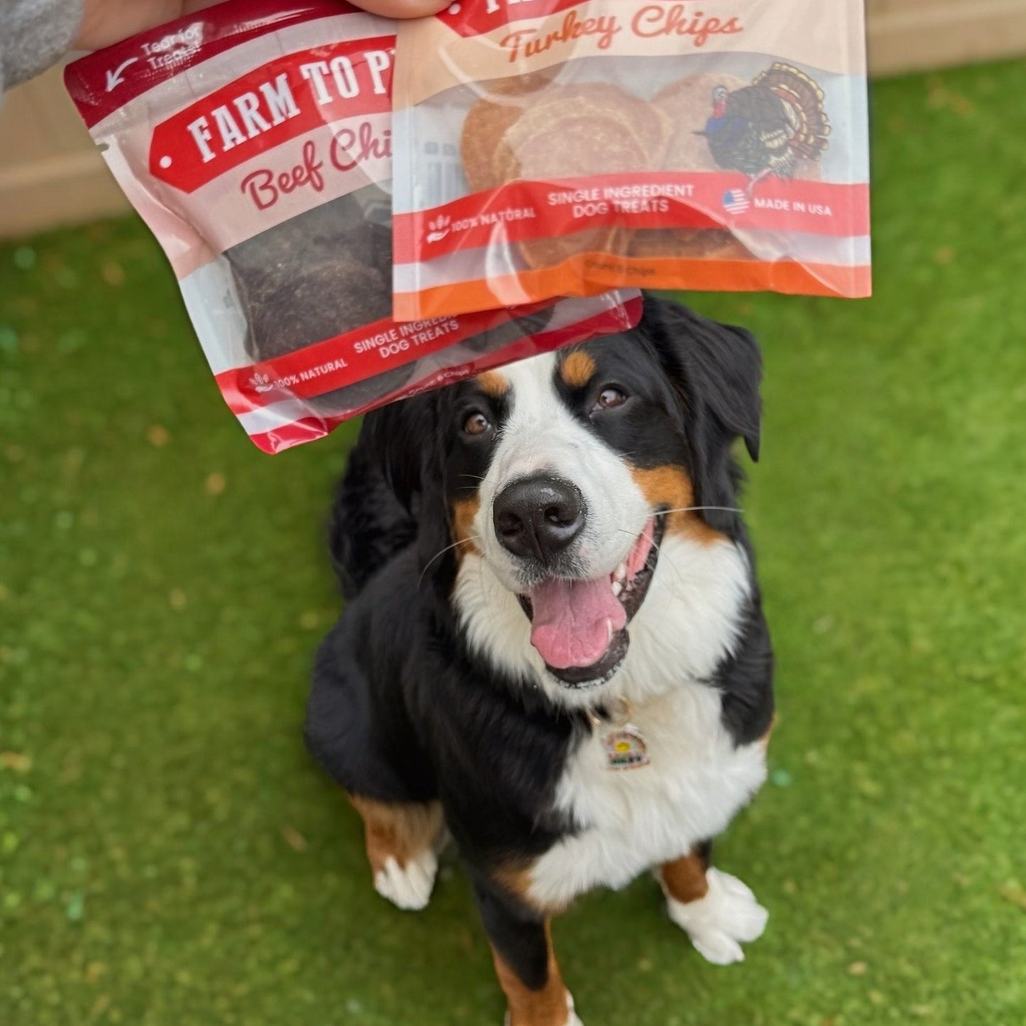 Farm To Pet - Puppy Packs 'n Snacks Dog Treat Starter Pack | Single-Ingredient Training Treats