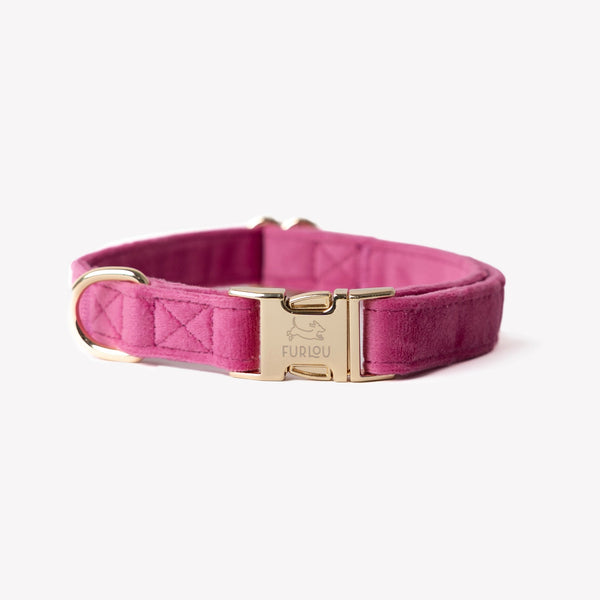 FURLOU magenta velvet dog collar with gold buckle