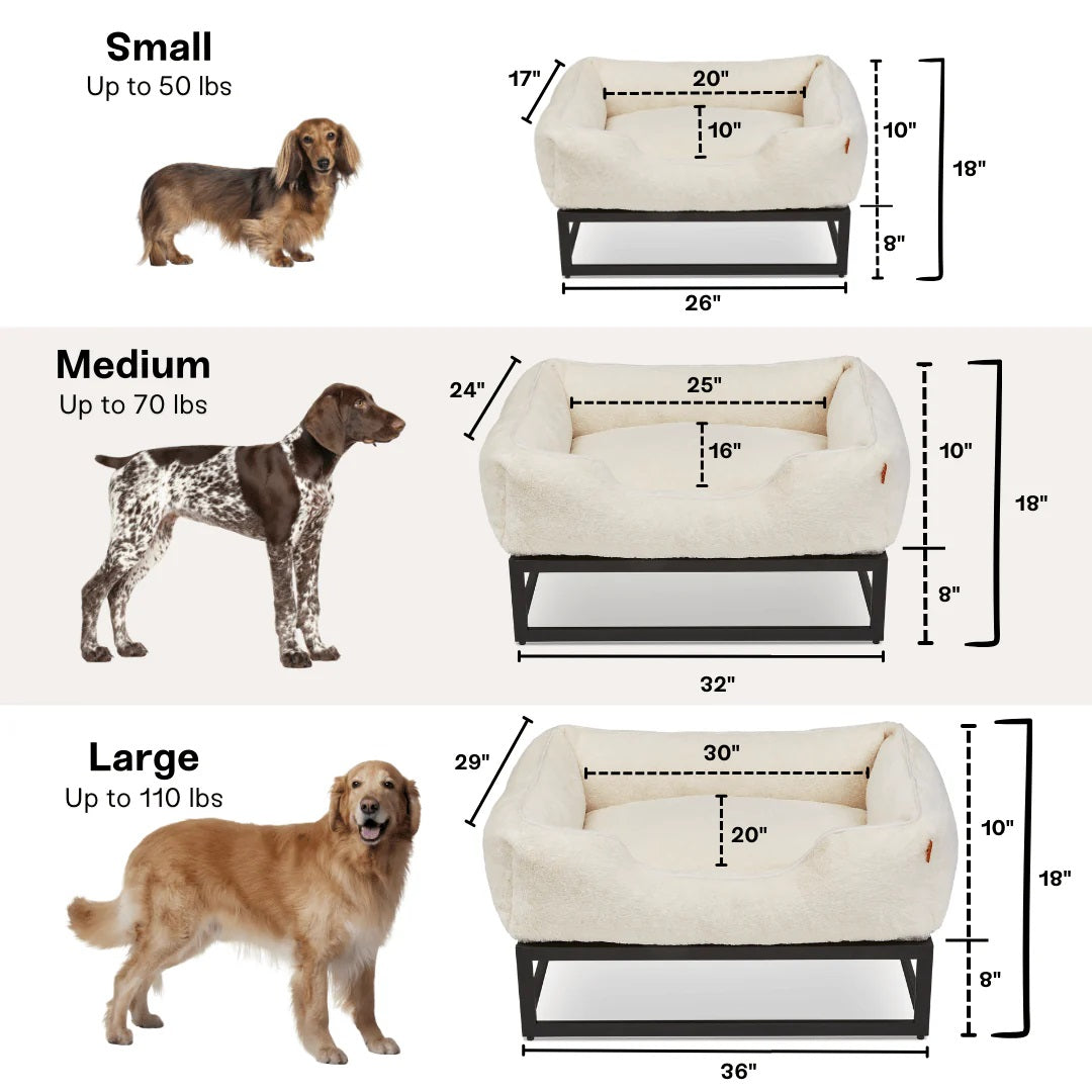 The FÜZI Dog Bed