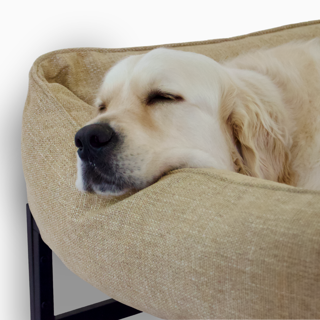 The FÜZI Dog Bed