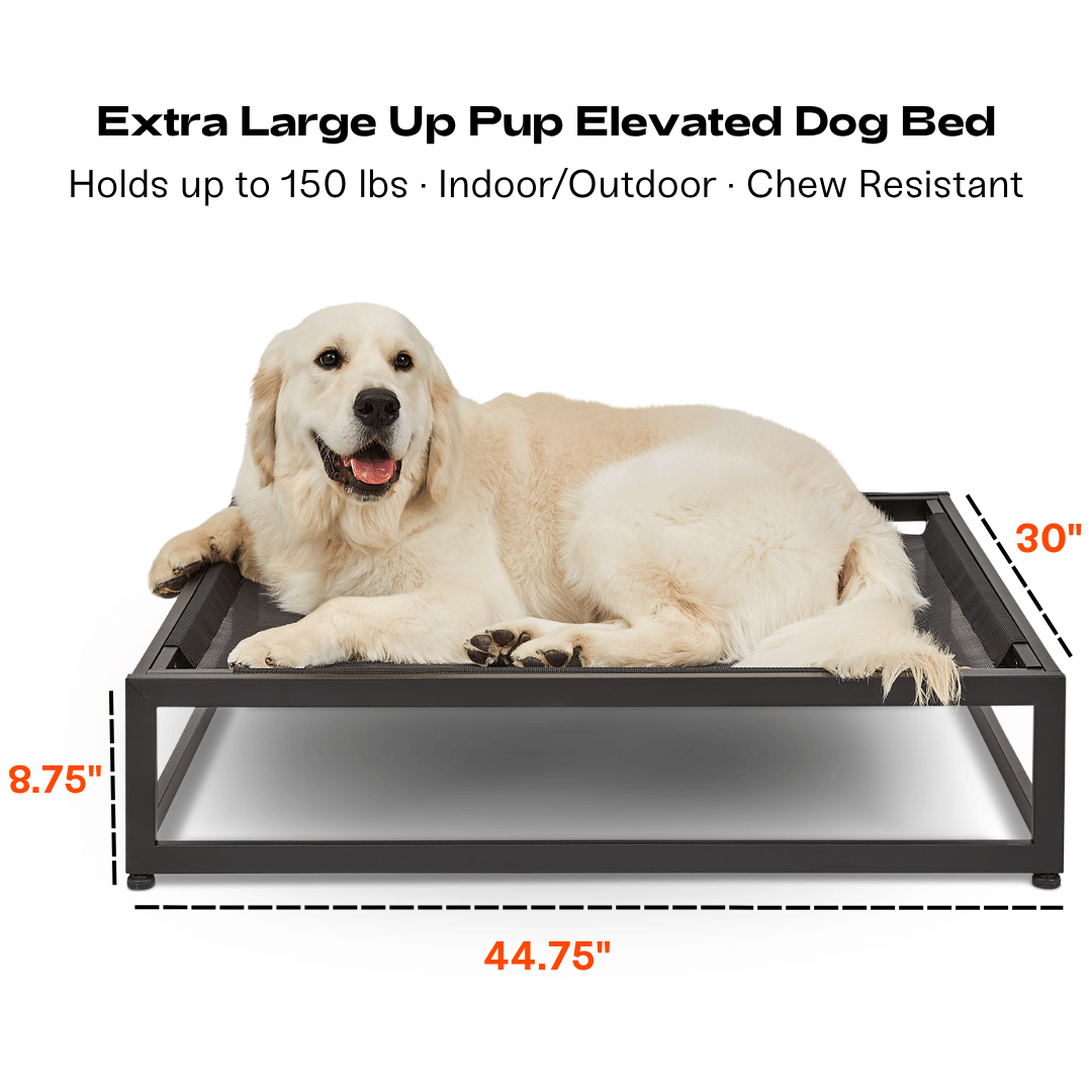 FÜZI - The Up Pup Dog Bed