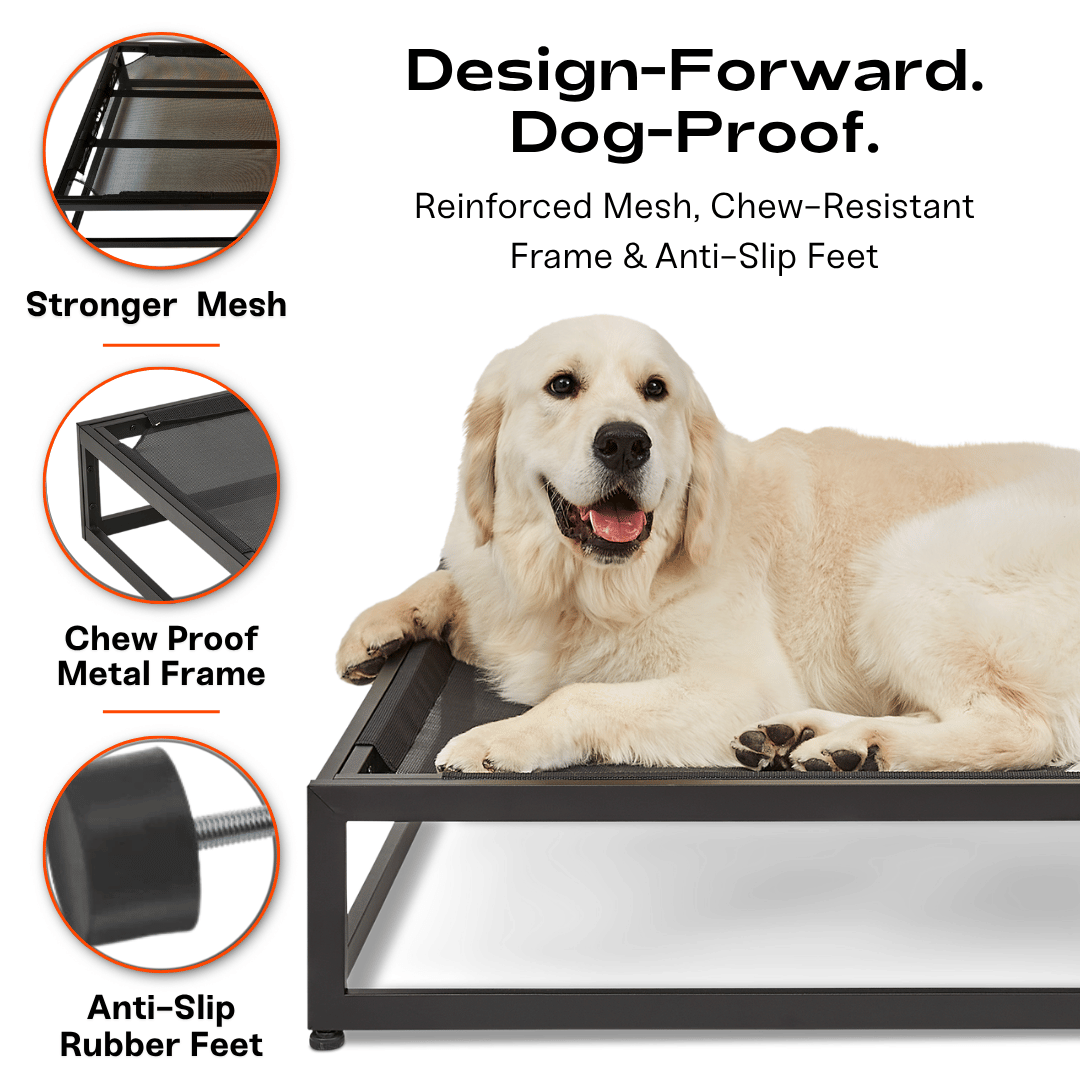 FÜZI - The Up Pup Dog Bed