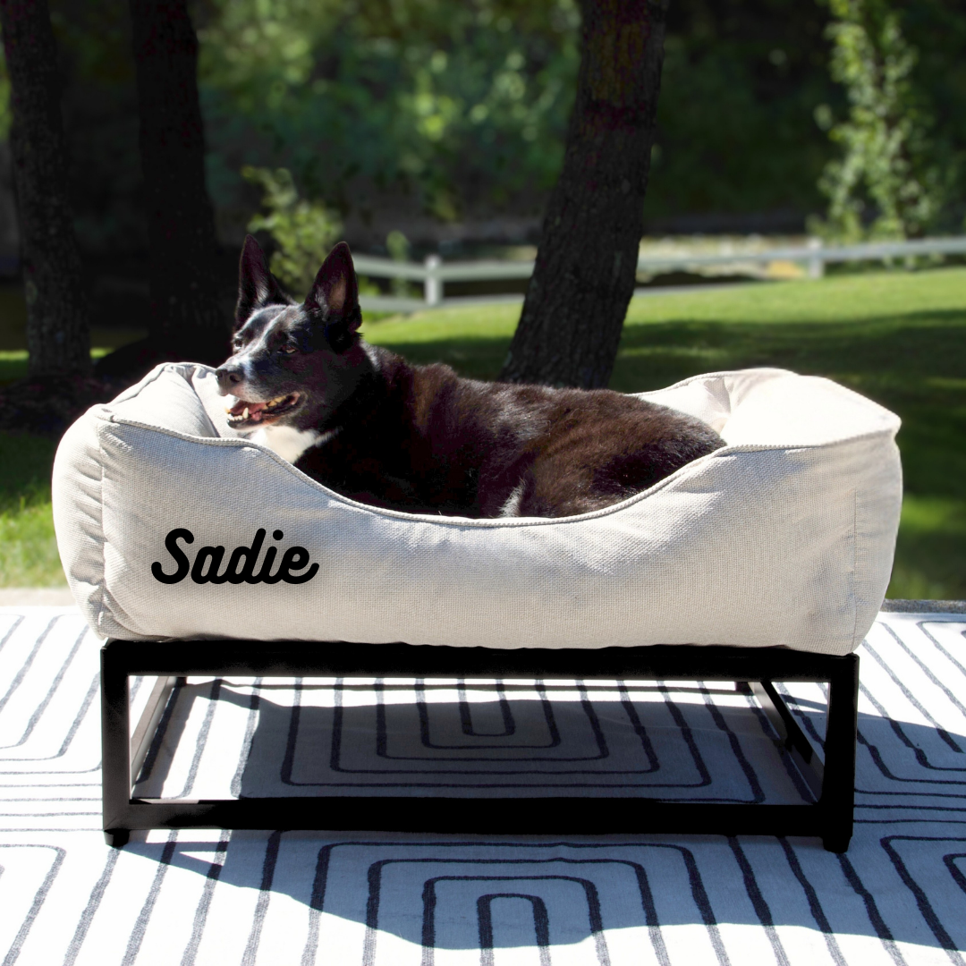 FÜZI - The FÜZI Dog Bed