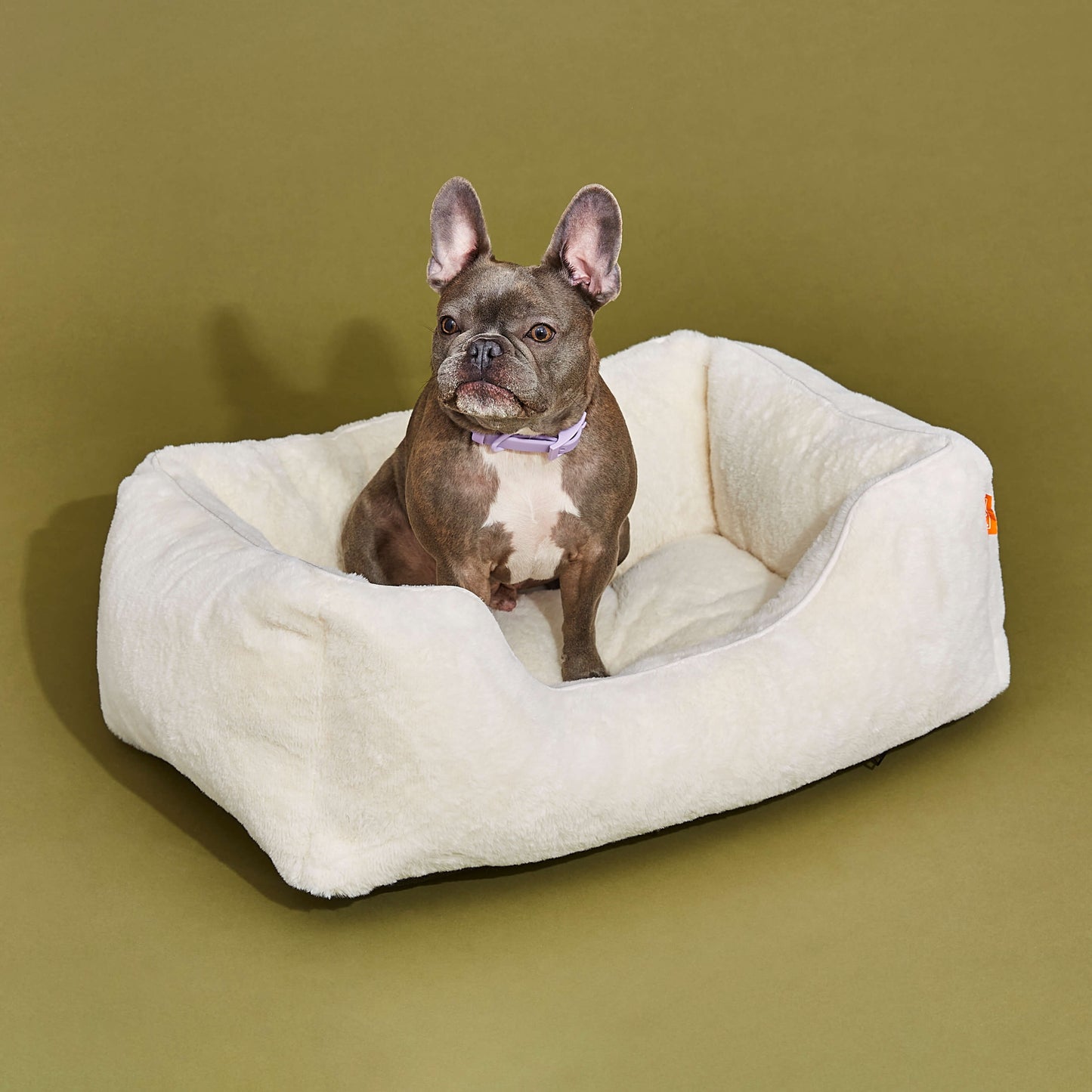 FÜZI - The Sammy Dog Bed