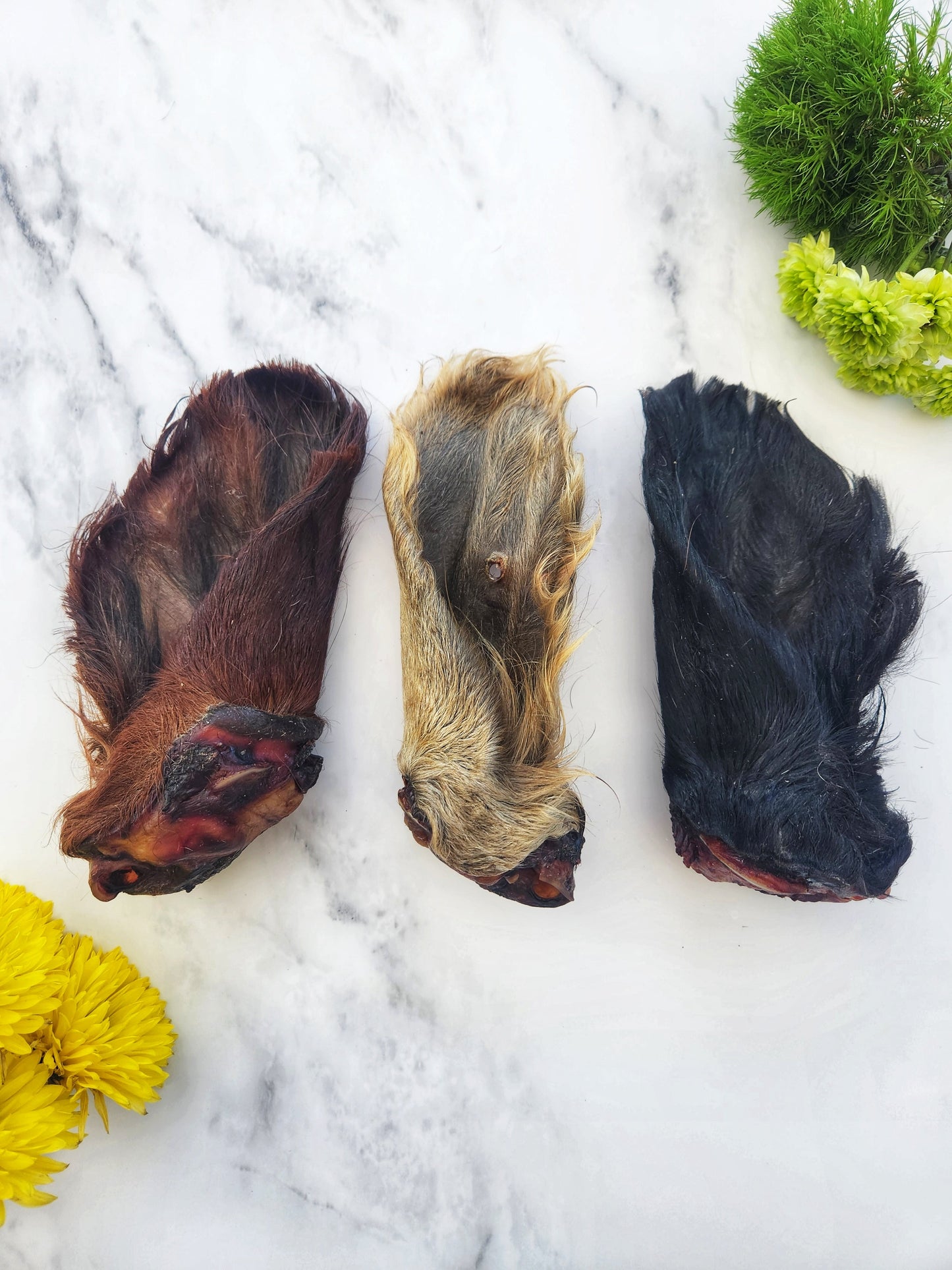 Raw Instincts - Dehydrated Beef Ear with Hair for Cats & Dogs — All-Natural