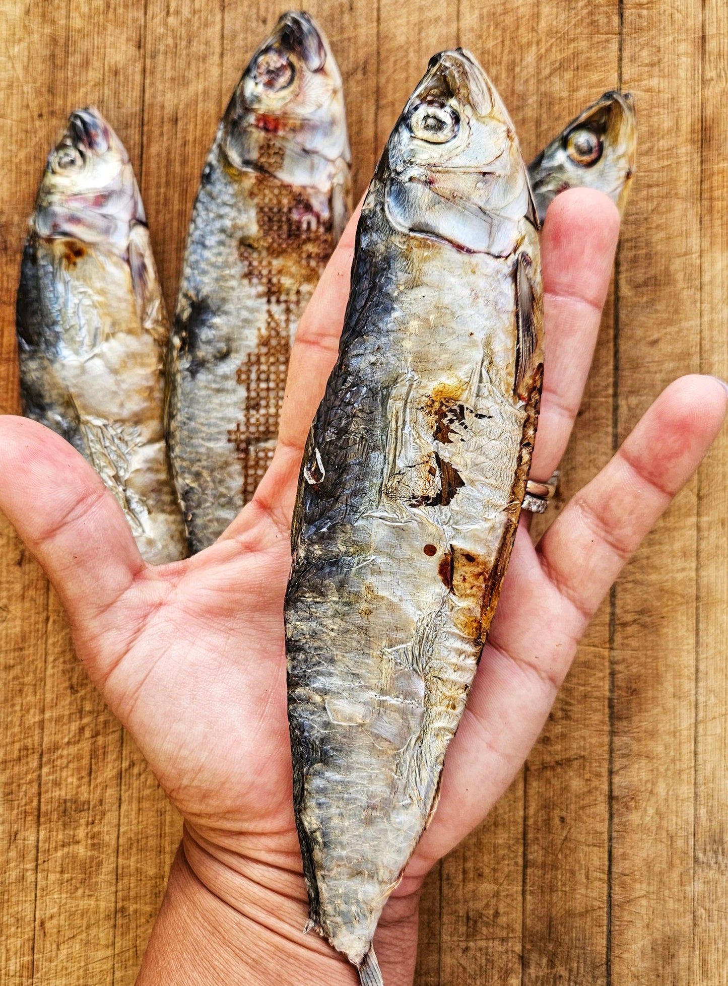 Raw Instincts - Dehydrated Wild-Caught Sardines for Cats & Dogs — 100% Single Ingredient  Qty: 5 Fish