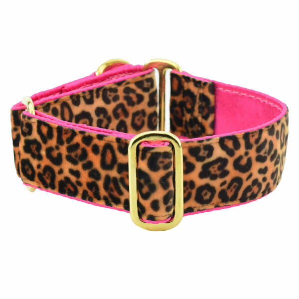 Dog Collar