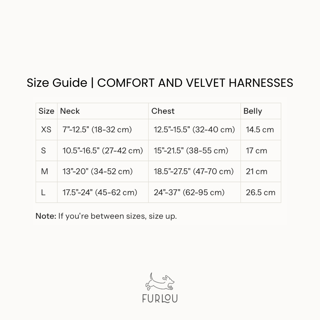 FURLOU - Blue Velvet Dog Harness