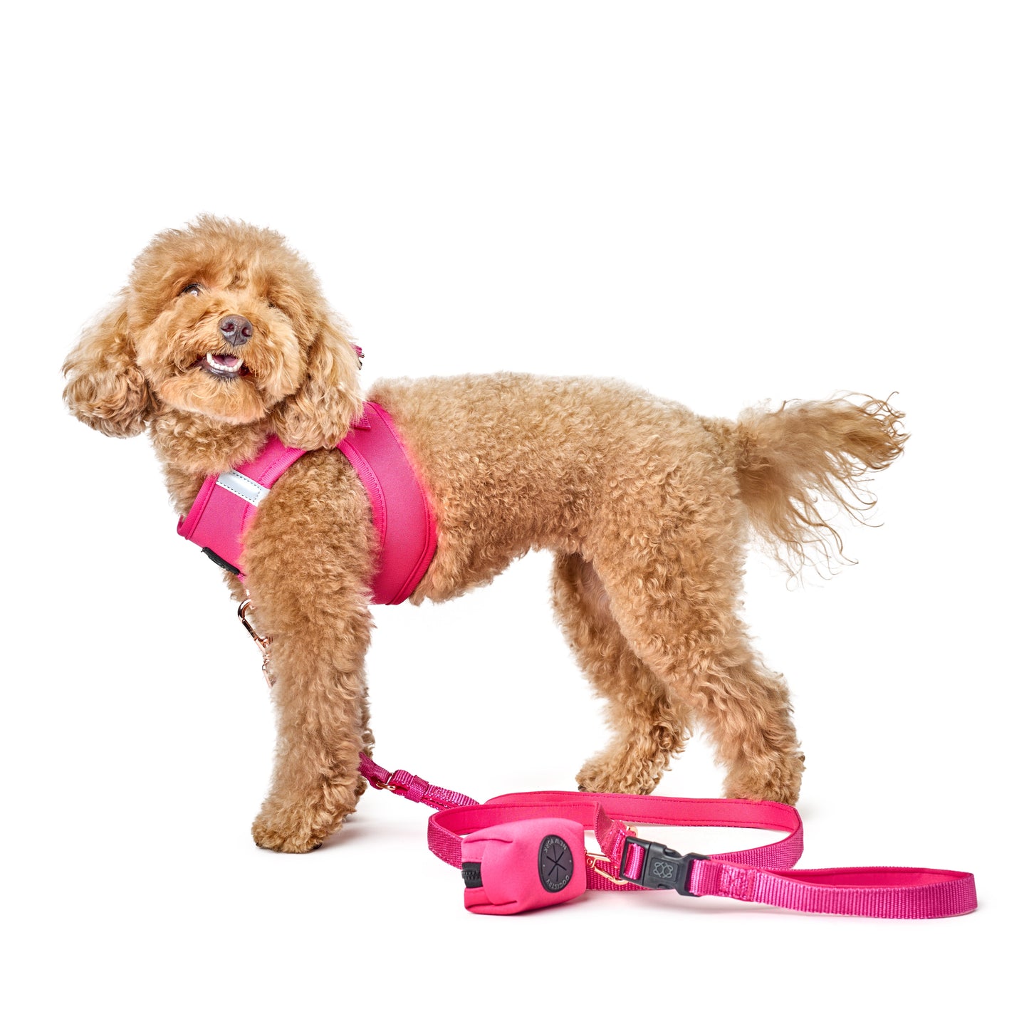 Dogistry - 3-in-1 City Dog Leash - Park Ave Pink