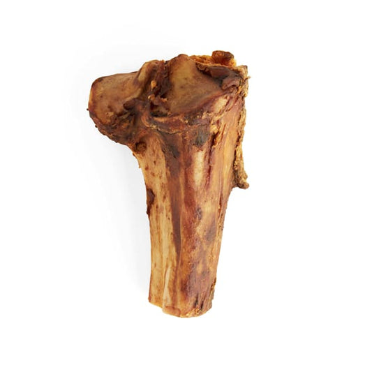 Buffalo Tibia Knuckle Bone 10.5 oz, All-Natural & USA Made