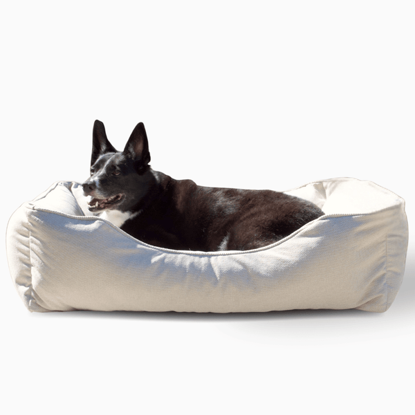 FÜZI - The Sammy Dog Bed