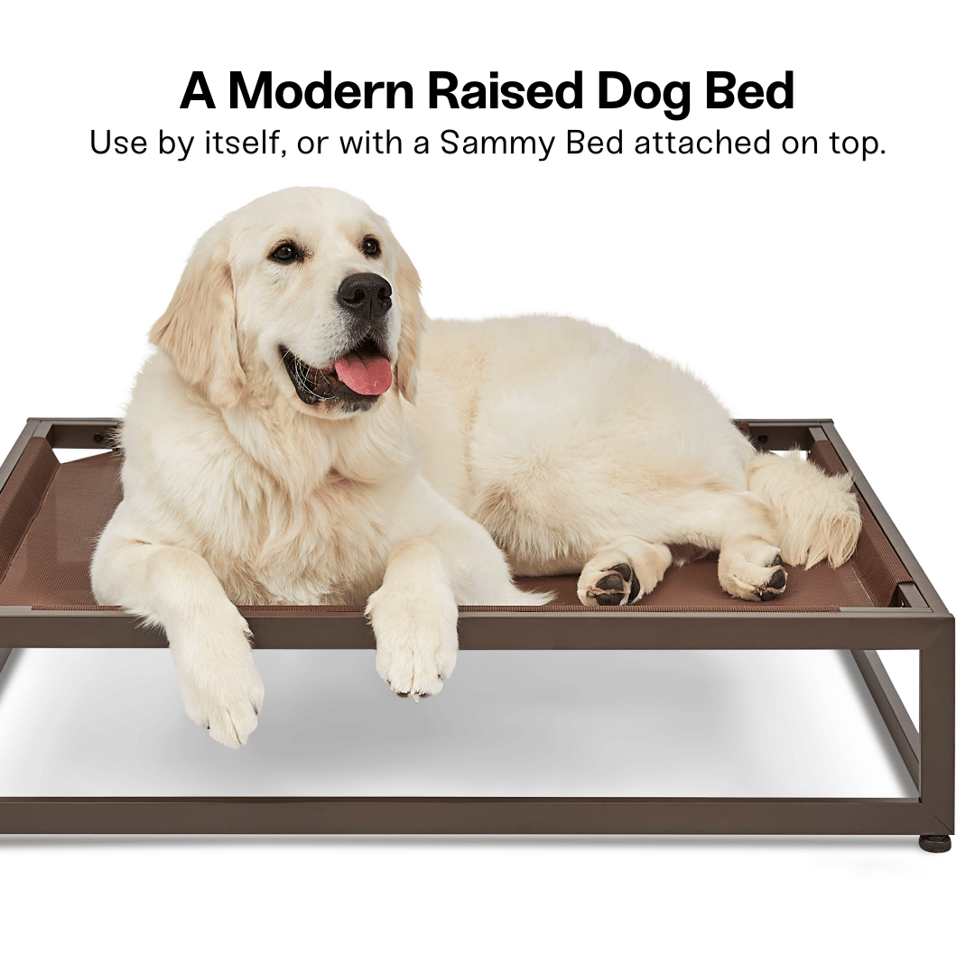 FÜZI - The Up Pup Dog Bed