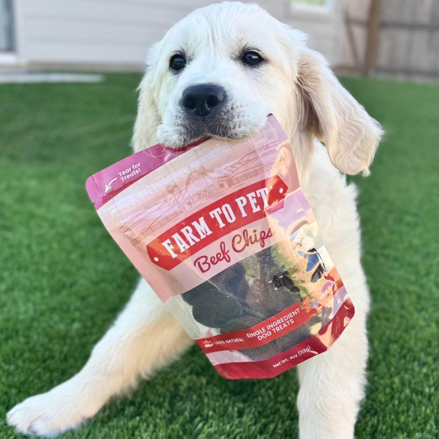 Farm To Pet - Beef Chips Dog Treats | Single-Ingredient Healthy Treats for Dogs