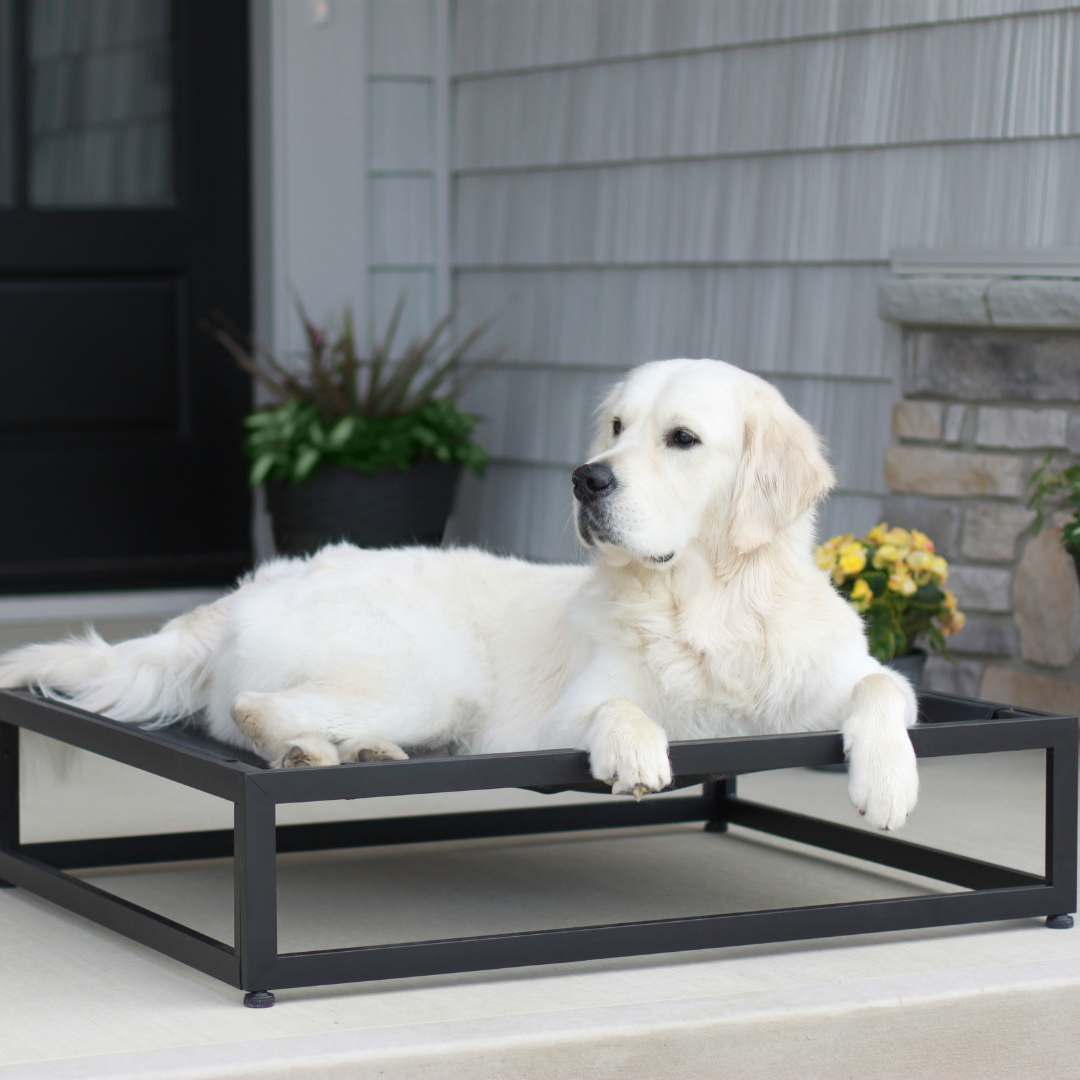 FÜZI - The Up Pup Dog Bed