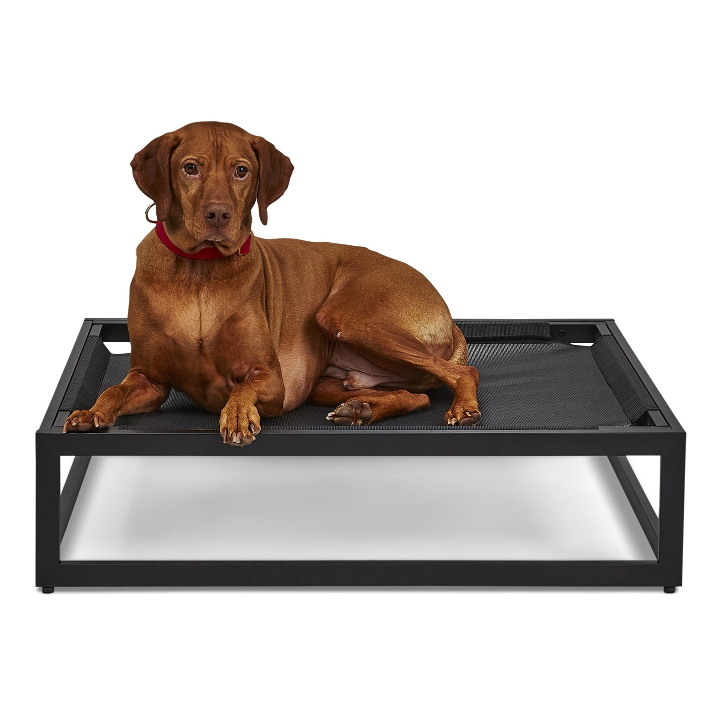 FÜZI - The Up Pup Dog Bed