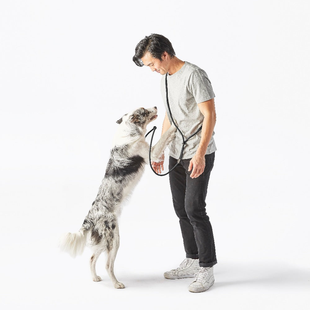 Fable - Magic Link® Dog leash