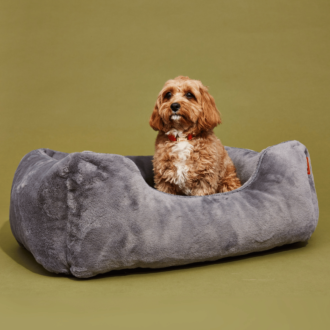 FÜZI - The Sammy Dog Bed