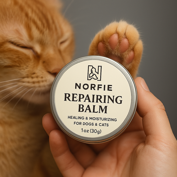 Cat paw being treated with Norfie natural repairing balm