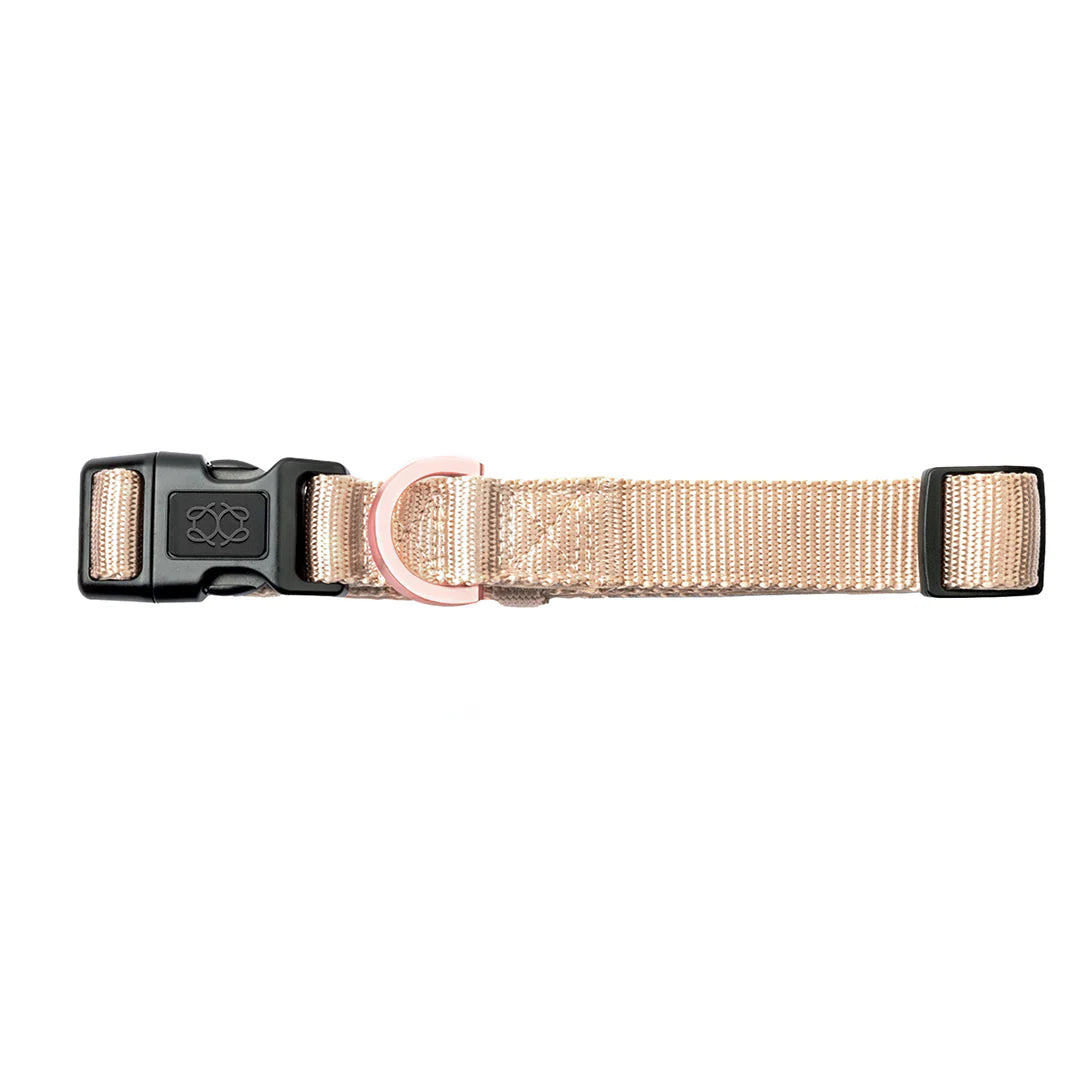 Dogistry - City Dog Collar - Dune