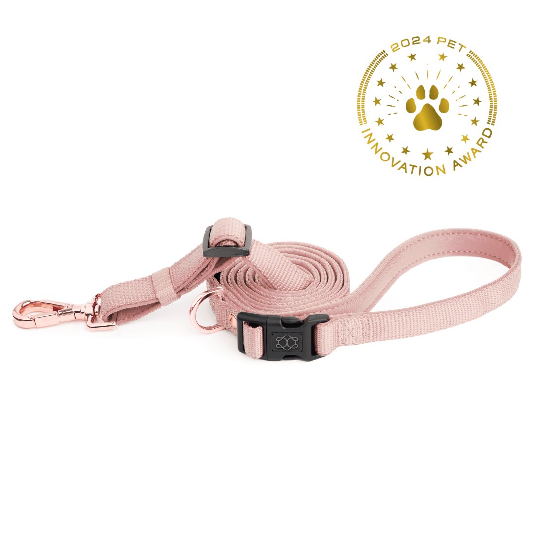 Dogistry - City Dog Leash - Blush
