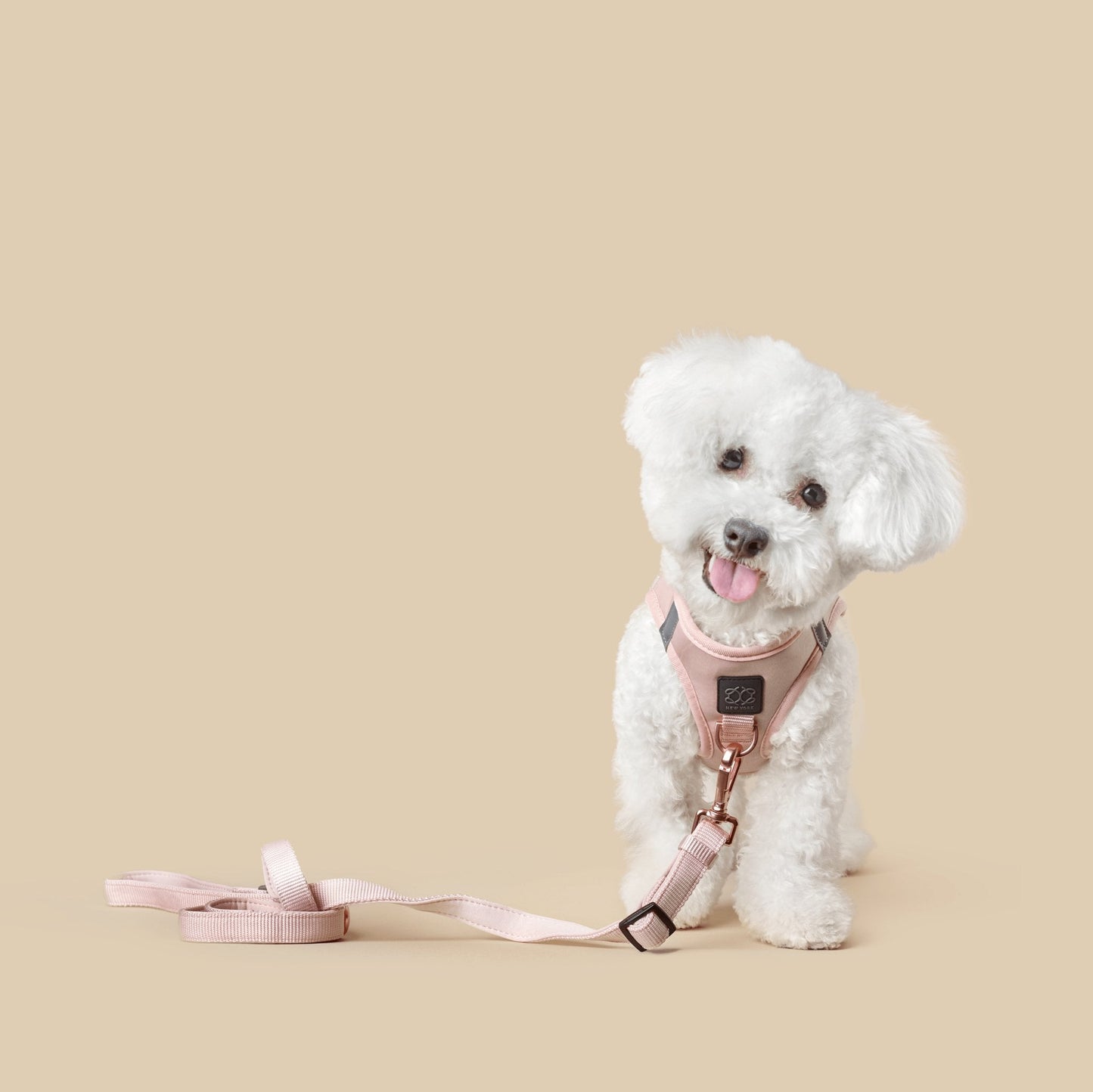 Dogistry - City Dog Leash - Blush