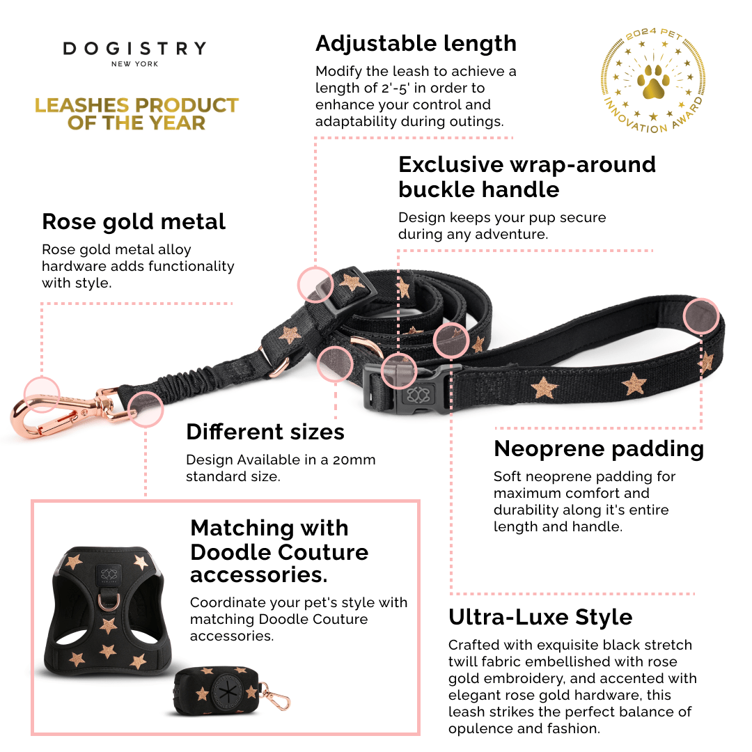 Dogistry - City Dog Leash - Blush