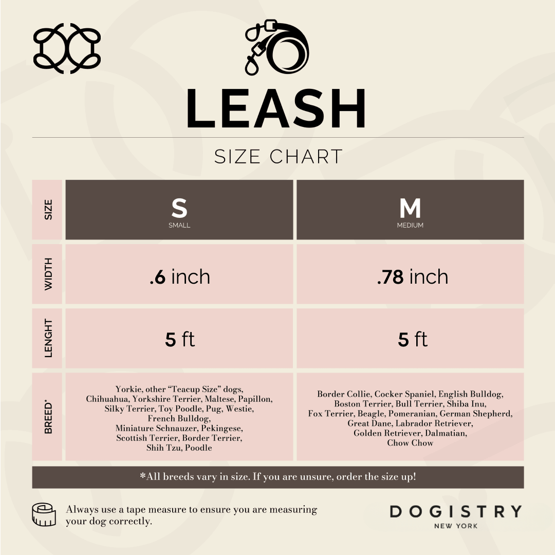 Dogistry - City Dog Leash - Blush