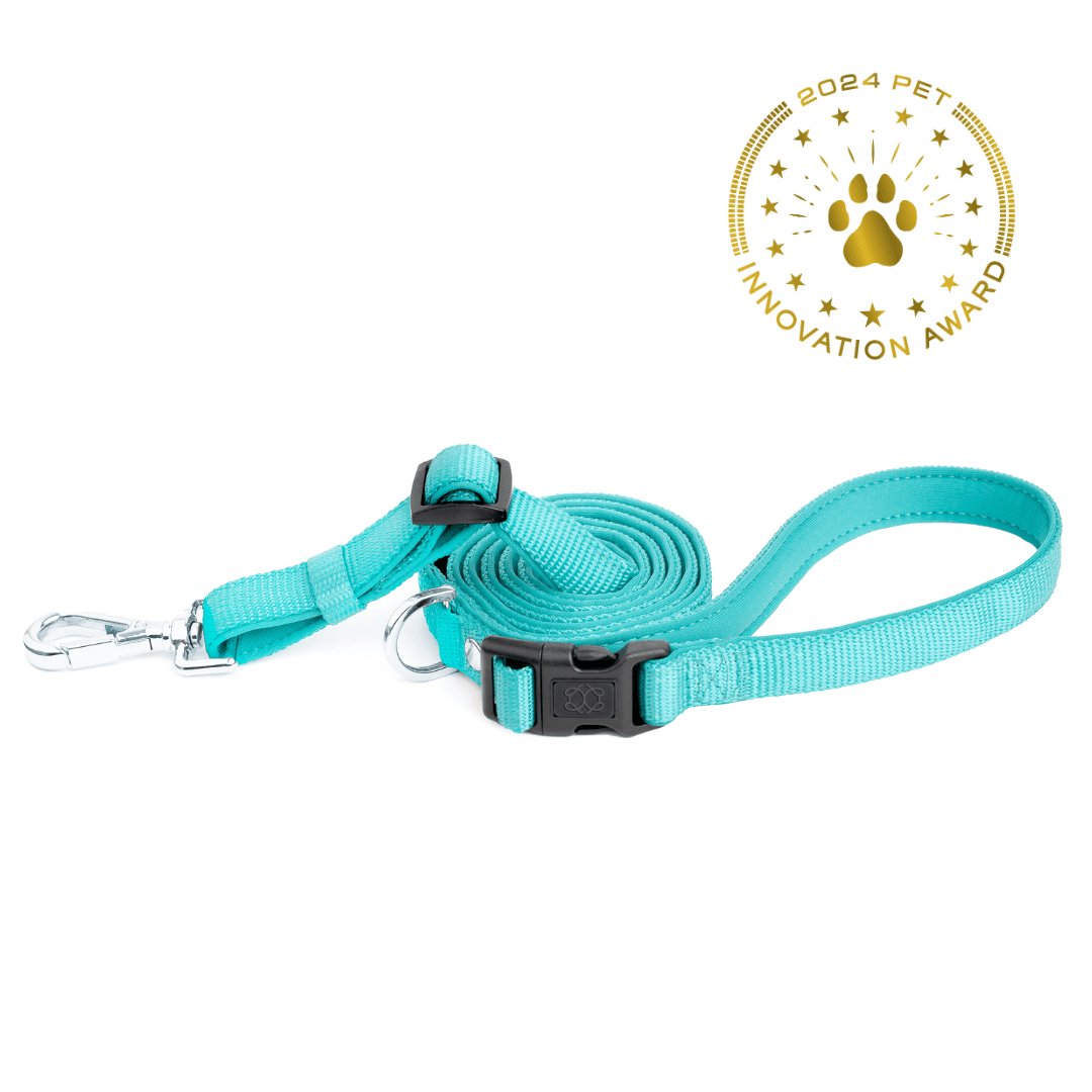 Dogistry - City Dog Leash - Fifth Avenue