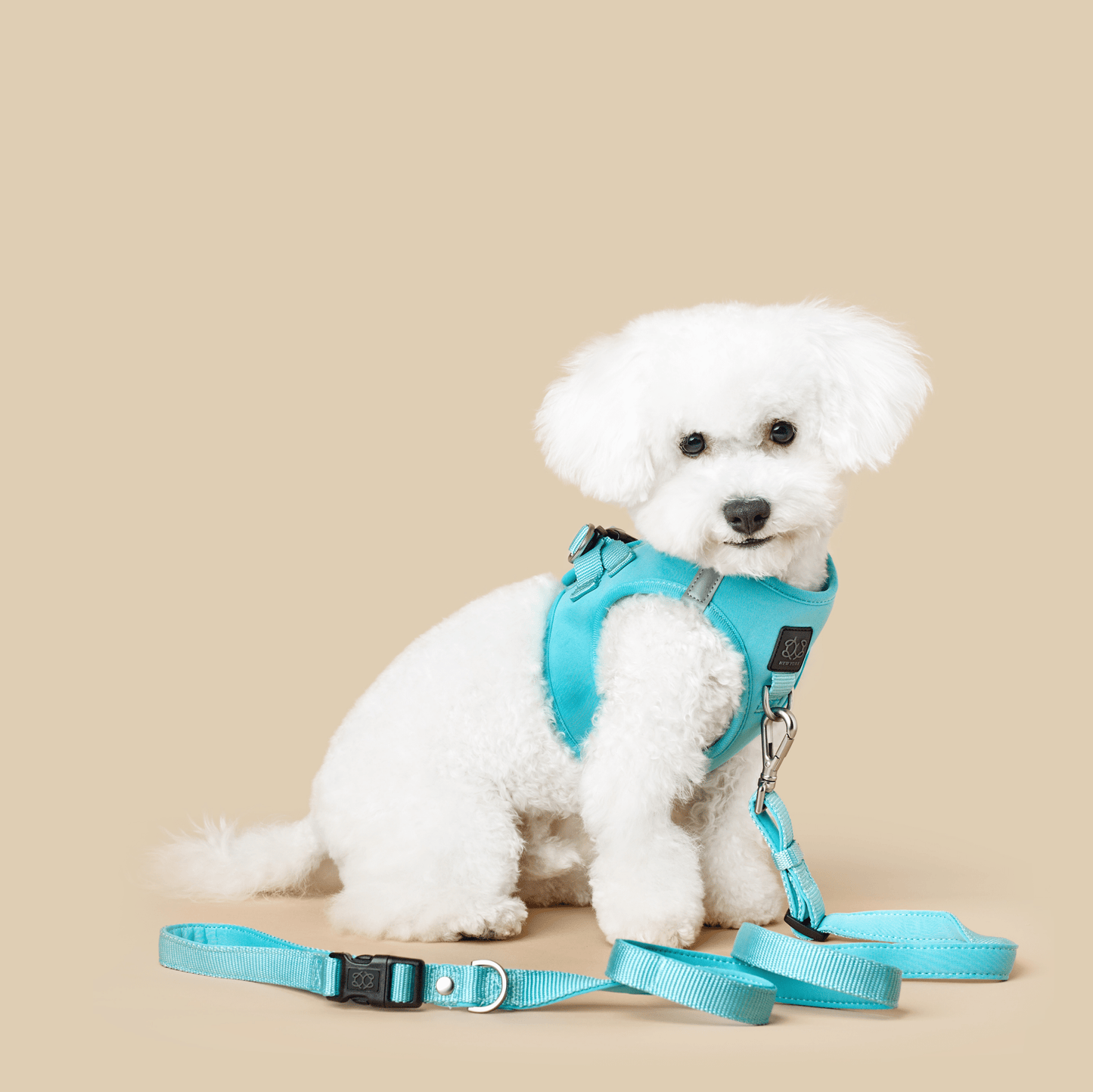 Dogistry - City Dog Leash - Fifth Avenue