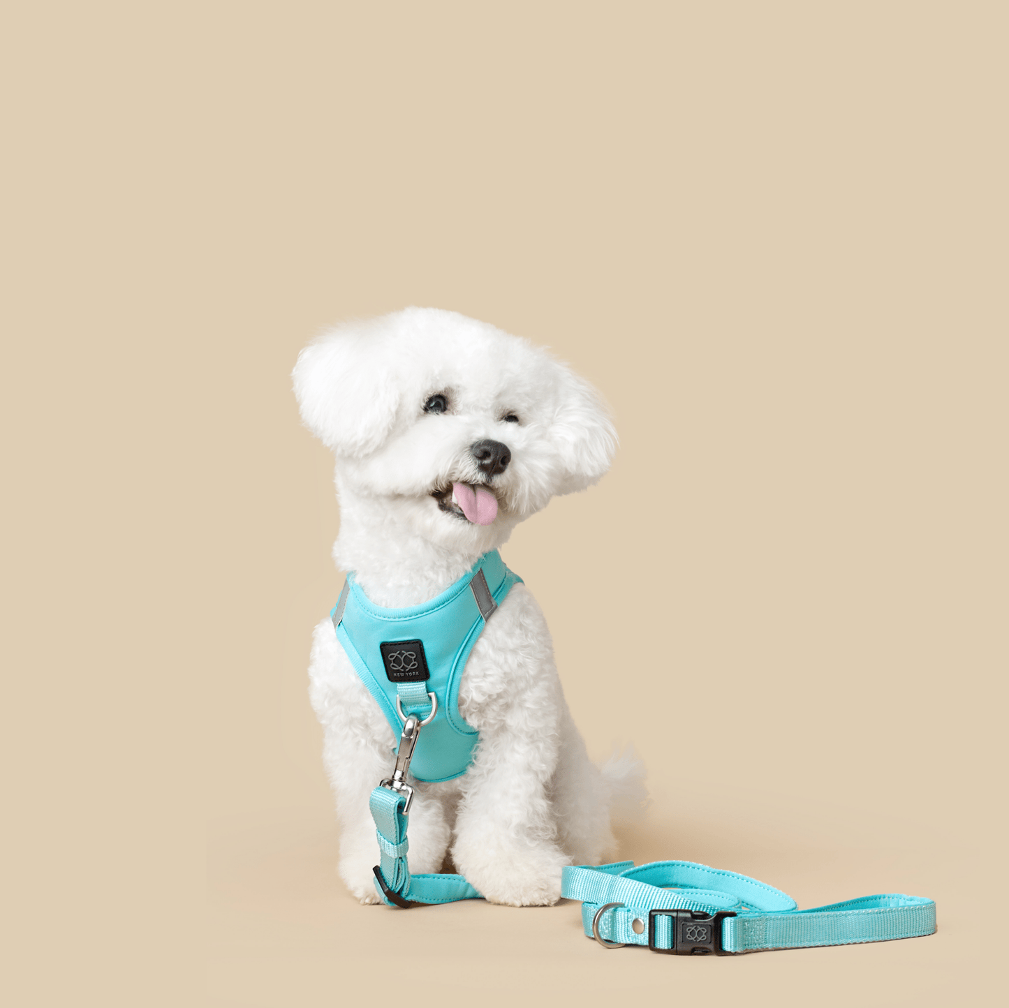 Dogistry - City Dog Leash - Fifth Avenue