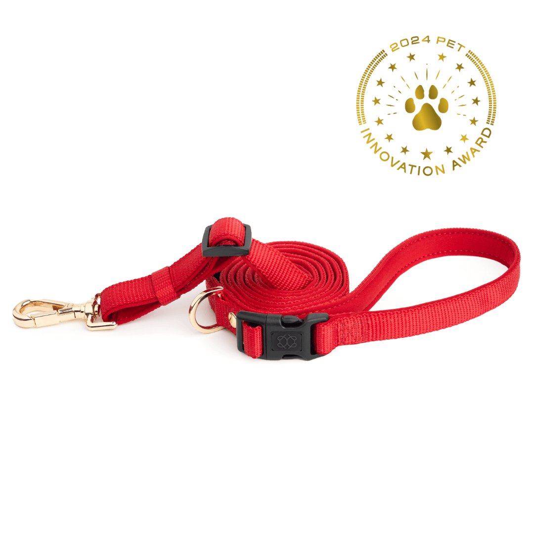 Dogistry - City Dog Leash - Iconic Red