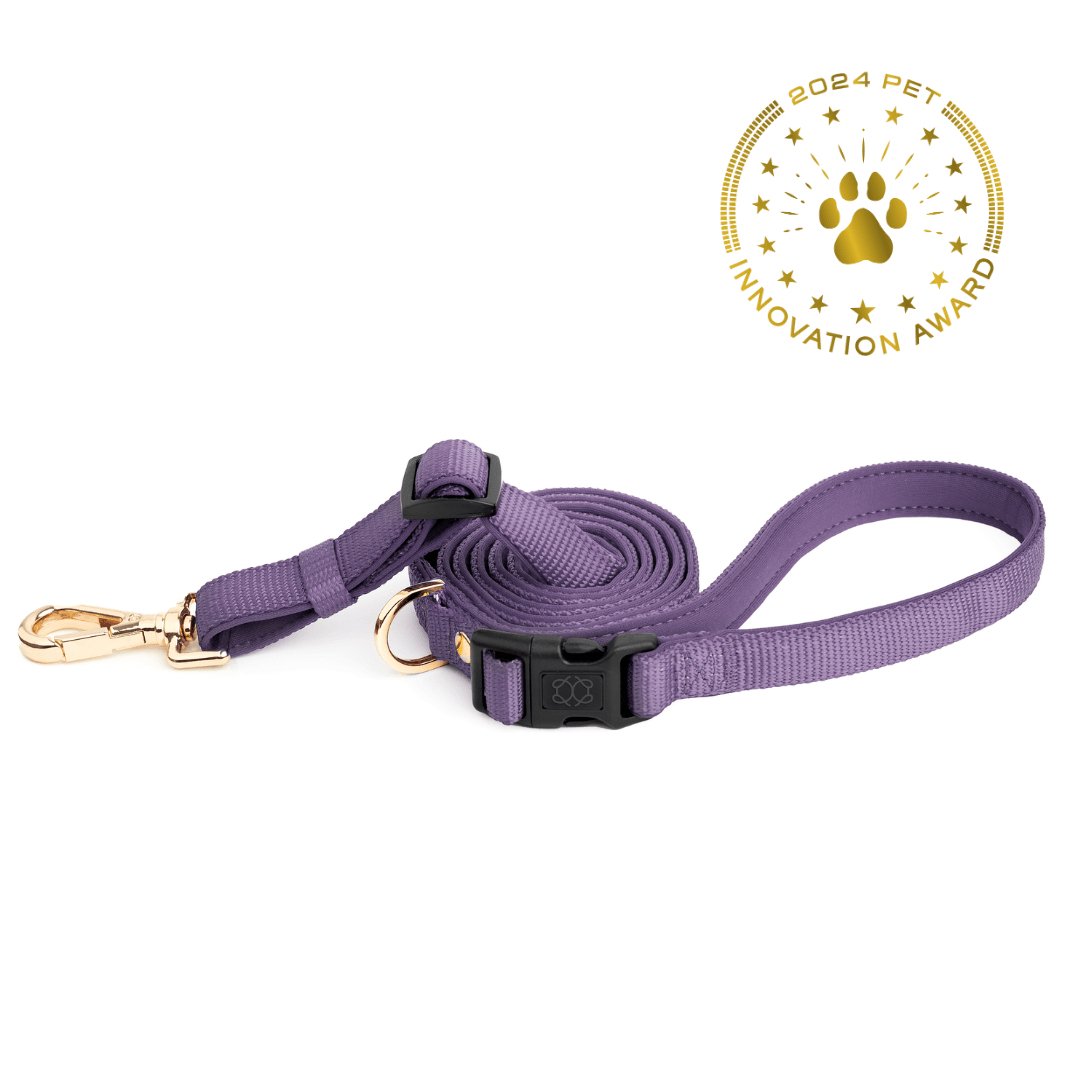 Dogistry - City Dog Leash - Lilac Gray