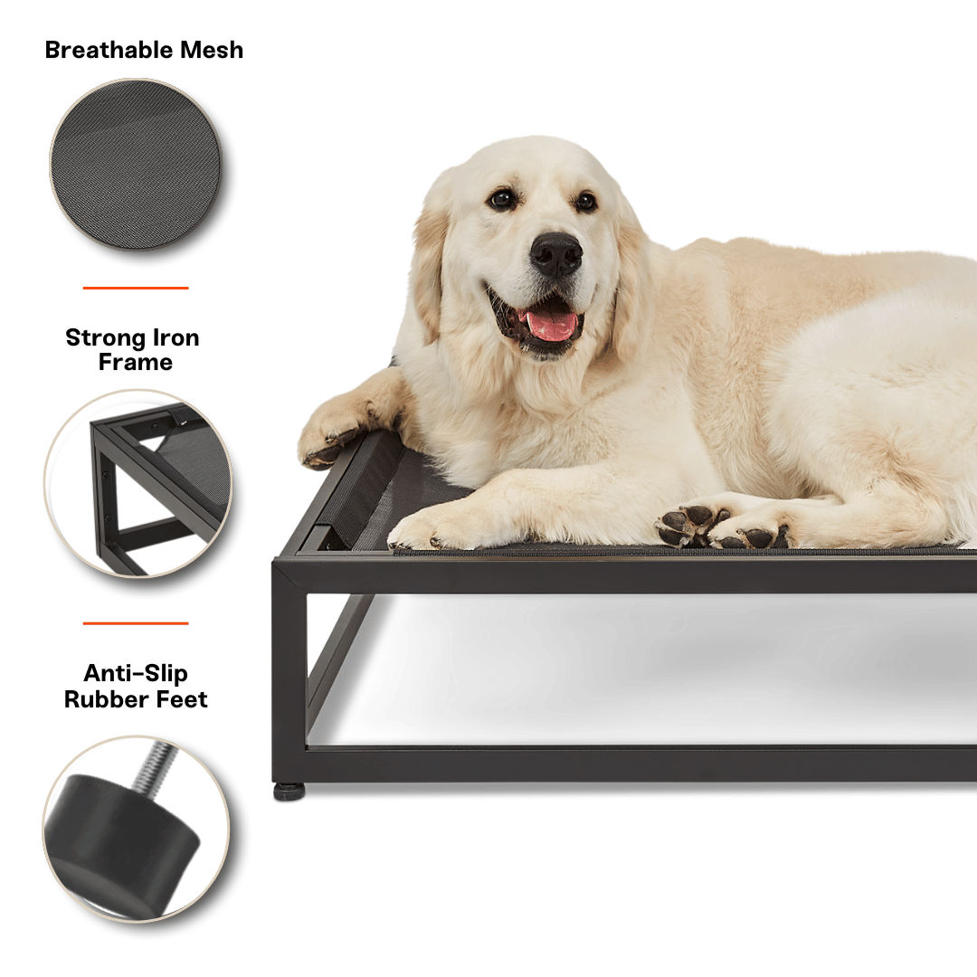 FÜZI - The Up Pup Dog Bed