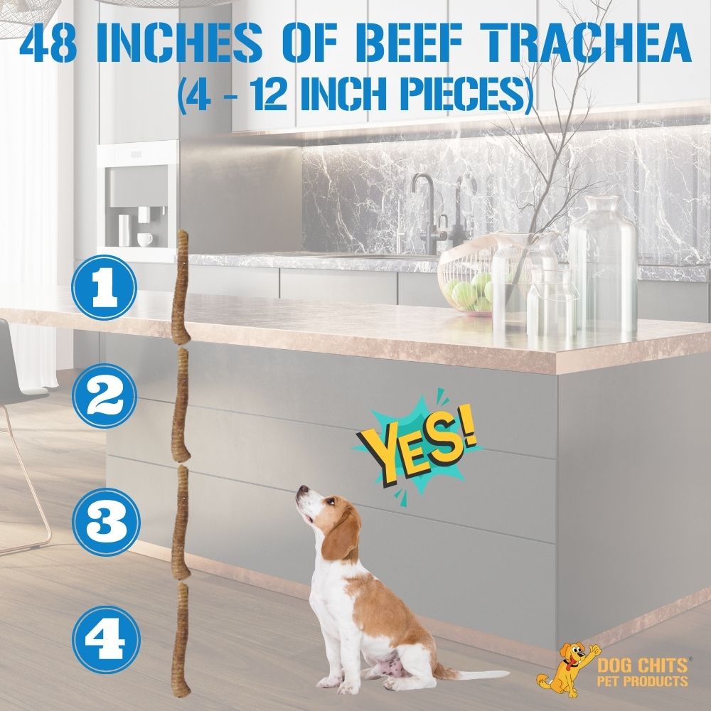 Beef Trachea Dog Treats - 12 Inch, 4 Pack