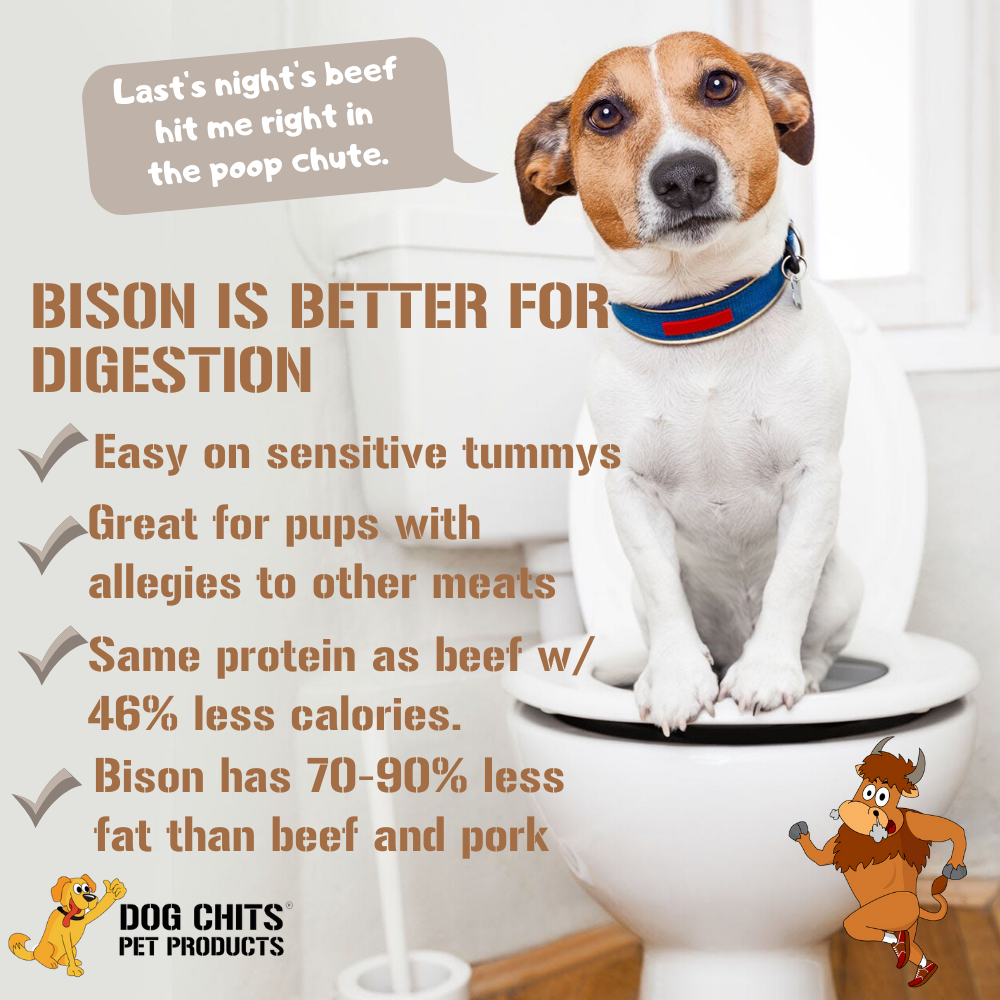 Bison Lung Fillet Treats for Dogs - 10 oz