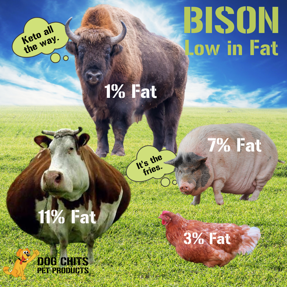 Bison Lung Fillet Treats for Dogs - 10 oz